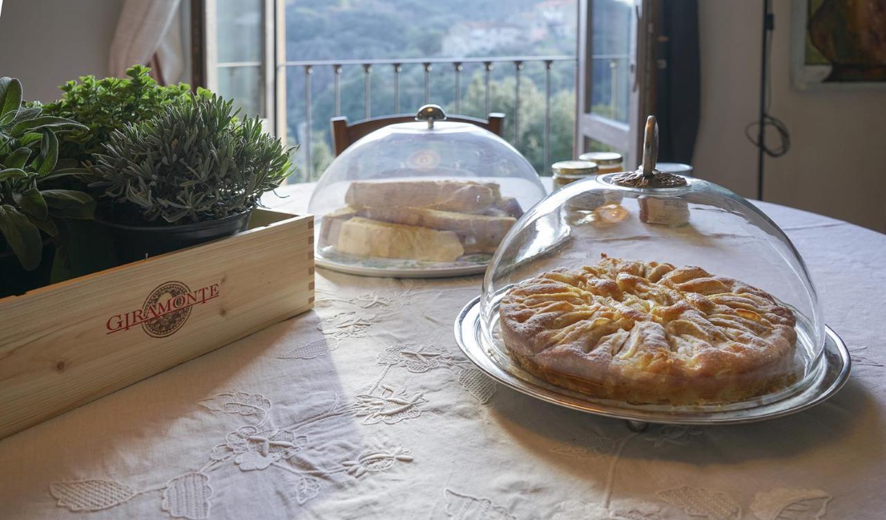 Locanda Degli Alberi Sassetta Eksteriør bilde