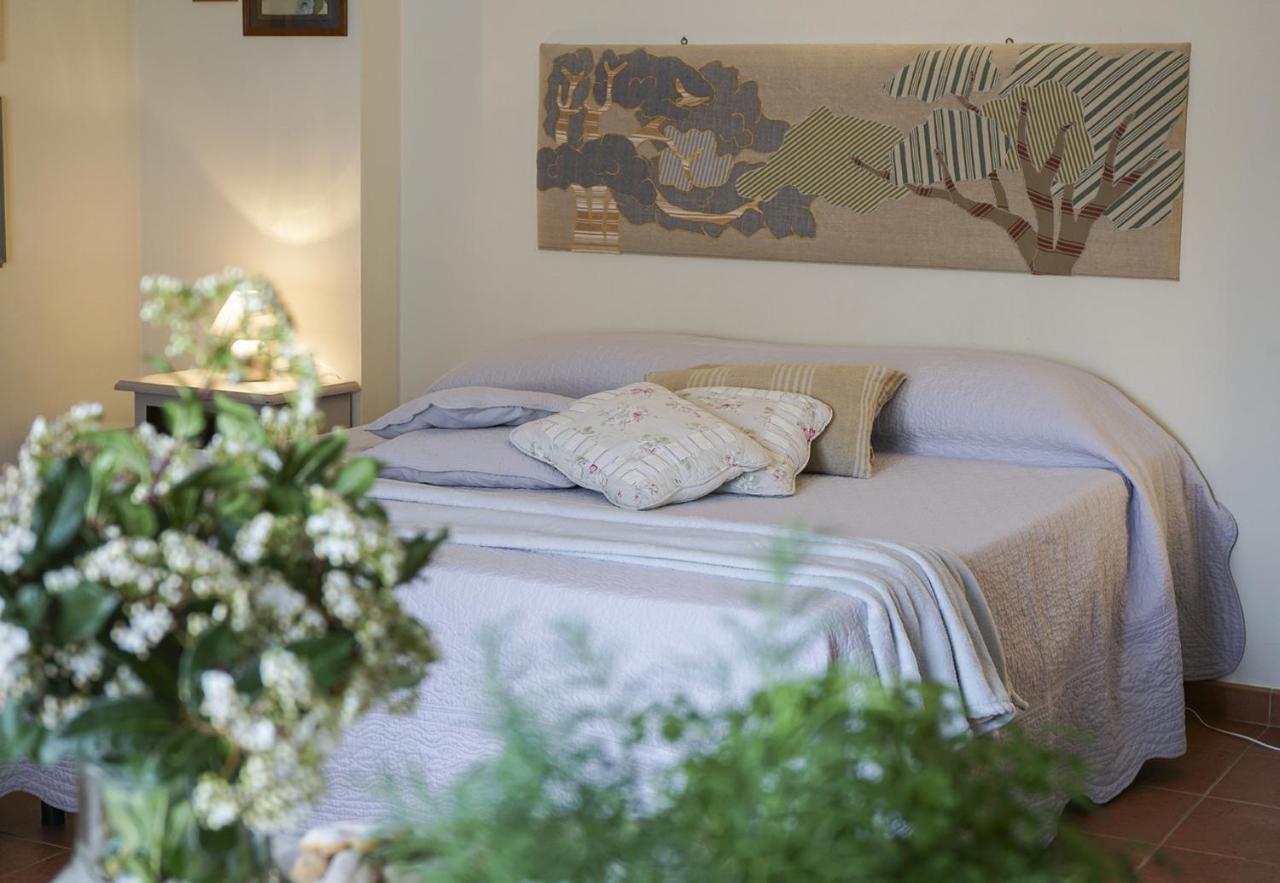 Locanda Degli Alberi Sassetta Eksteriør bilde